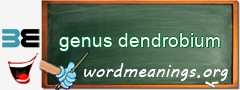 WordMeaning blackboard for genus dendrobium